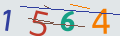 verifycode